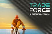 tradeforce-banner-paragraph