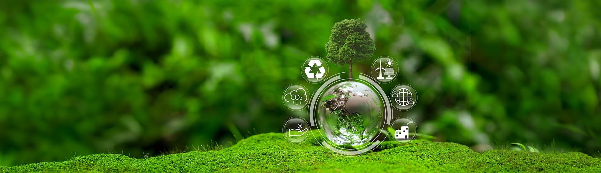 Sonepar Product Carbon Footprint