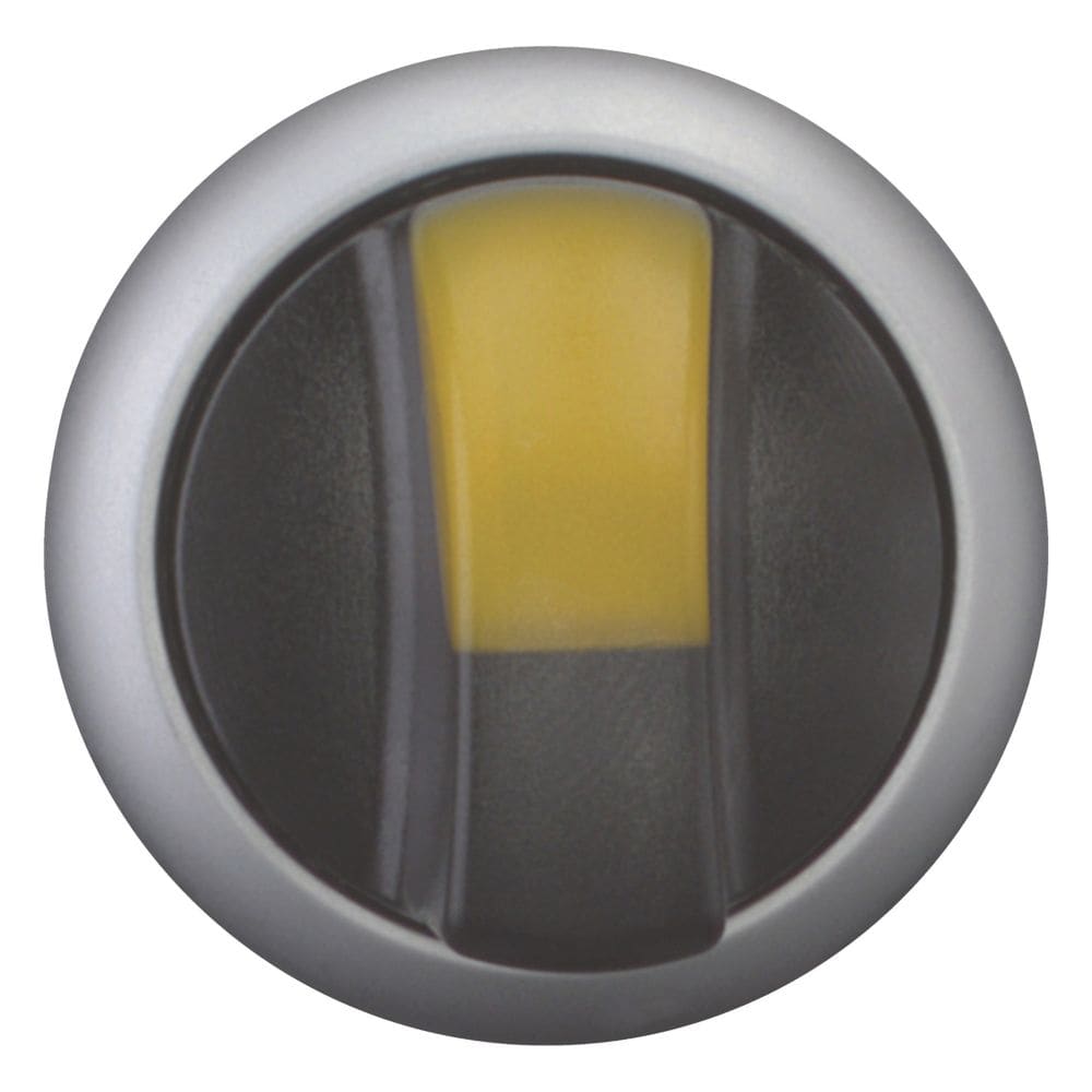 EATON EAO216829 M22-WRLK-Y SEL. LUM LEVA 2POS. PERM. GIA
