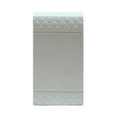 SCAME PARRE S.P.A. - SCA101.6302.G INTERRUTTORE BIPOLARE 16AX-250V GRIGIO