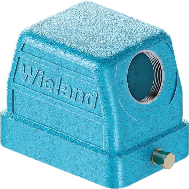 WIELAND ELECTRIC SRL - WIE70.350.0636.1 HOOD/TOPEX GOT GG 6 M20 09IA Z1