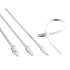 RITTAL SPA - RIT2597000 SZ 100 FASCETTE PER CAVI