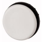 EATON - EAO216389 M22-B-GVP TAPPO, GRIGIO (7035), TONDO