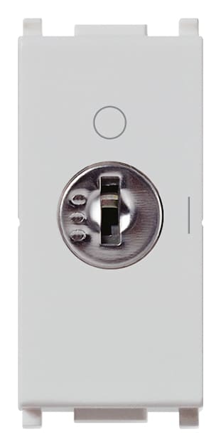 VIMAR SPA VIW14083.SL INTERRUTTORE 2P 16(3)A +CHIAVE SILVER