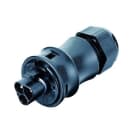 WIELAND ELECTRIC SRL - WIE96.022.4153.1 MALE C.W.STR-REL.RST20I2S S13ZR2 V SW