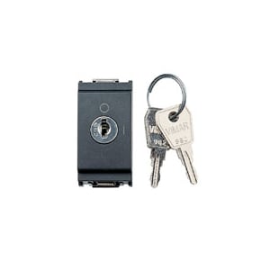 VIMAR S.P.A. - VIW16165 INTERRUTTORE 2P 16AX +CHIAVE GRIGIO