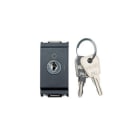 VIMAR SPA - VIW16165 INTERRUTTORE 2P 16(3)A +CHIAVE GRIGIO