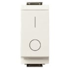 VIMAR SPA - VIW17007.B INTERRUTTORE 2P 16AX BIANCO