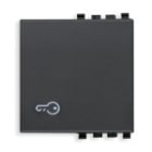 VIMAR SPA - VIW20022.P TASTO 2M SIMBOLO CHIAVE GRIGIO