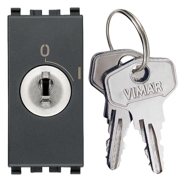 VIMAR SPA VIW20083 INTERRUTTORE 2P 16(3)A +CHIAVE GRIGIO