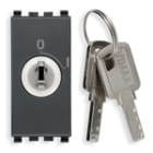 VIMAR SPA - VIW20083 INTERRUTTORE 2P 16(3)A +CHIAVE GRIGIO