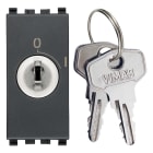 VIMAR SPA - VIW20083.CU INTERR. 2P 16(3)A +CHIAVE UNIF. GRIGIO