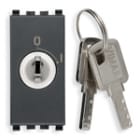 VIMAR SPA - VIW20086 PULSANTE 2P NO 16A +CHIAVE GRIGIO