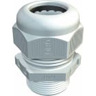 OBO BETTERMANN - OBO2024284 V-TEC L PG7 LGR PRESSACAVO