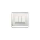 VIMAR SPA - VIW21653.72 PLACCA 3M ARGENTO GHIACCIO