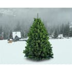 GIOCOPLAST NATALE SP - GCP29908485 ALBERO GERMOGLIATO CM.180 CON 1042 RAMI