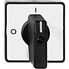 ROCKWELL AUTOMATION - RCK194L-HE6A-175 194L CONTROL AND LOAD SWITCH ACTUATOR