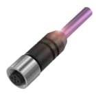 BALLUFF AUTOMATION - BAUBCC009C BKS-S137-19-PC-15