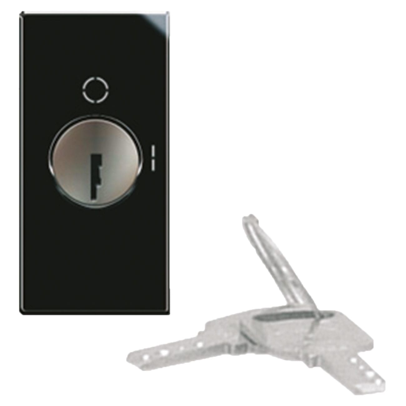 AVE - AVE442075 PULSANTE CHIAVE 2P NA 10A LIFE 1M