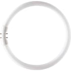 SIGNIFY ITALY SPA - PHLTL5C2283 MASTER TL5 CIRCULAR 22W/830 1CT/10