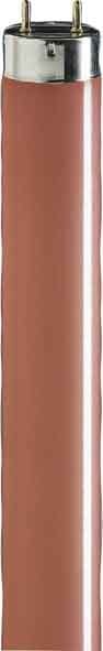 SIGNIFY ITALY SPA PHL1815R TL-D Colored - Fluorescent lamp - Consumo energetico: 18.0 W