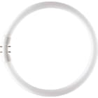 SIGNIFY ITALY SPA - PHLTL5C5583 MASTER TL5 CIRCULAR 55W/830 1CT/10