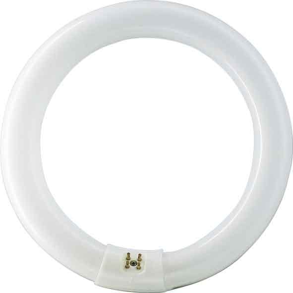 SIGNIFY ITALY SPA PHLE4083 MASTER TL-E Circular Super 80 - Fluorescent lamp - Consumo energetico: 40.8 W - Classe di efficienza energetica: G