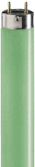 SIGNIFY ITALY SPA PHL1817V TL-D Colored - Fluorescent lamp - Consumo energetico: 18.0 W