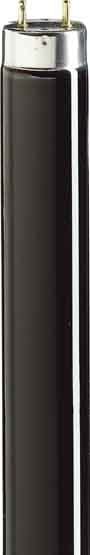 SIGNIFY ITALY SPA PHL3608 TL-D Blacklight Blue - UV lamp - Consumo energetico: 36 W