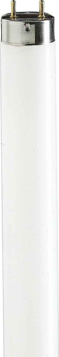 SIGNIFY ITALY SPA PHLTLD1810 Attiniche BL - UV lamp - Consumo energetico: 18 W