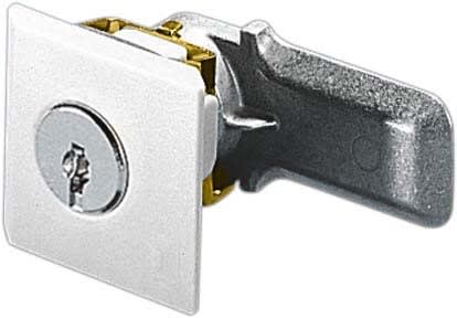 RITTAL SPA - RIT2430000 SZ CHIUSURA SICUR.C/INSER.3524