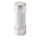 ABB SPA - ABBM259523 E 9F22 GG100 FUSIBILE GG 22X58, 100A, 500VC