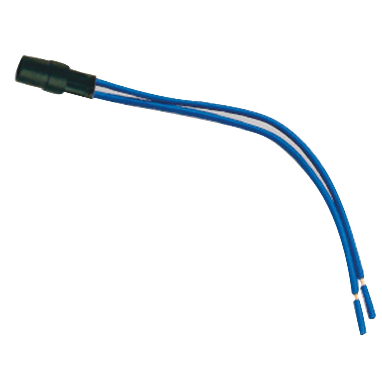 AVE - AVE0212LDB LAMPADA 12-24 VCC/CA A LED BLU