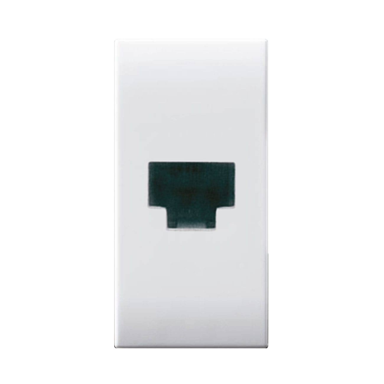 AVE AVE441024 PRESA RJ11 MORSETTI A VITE DOMUS 1M