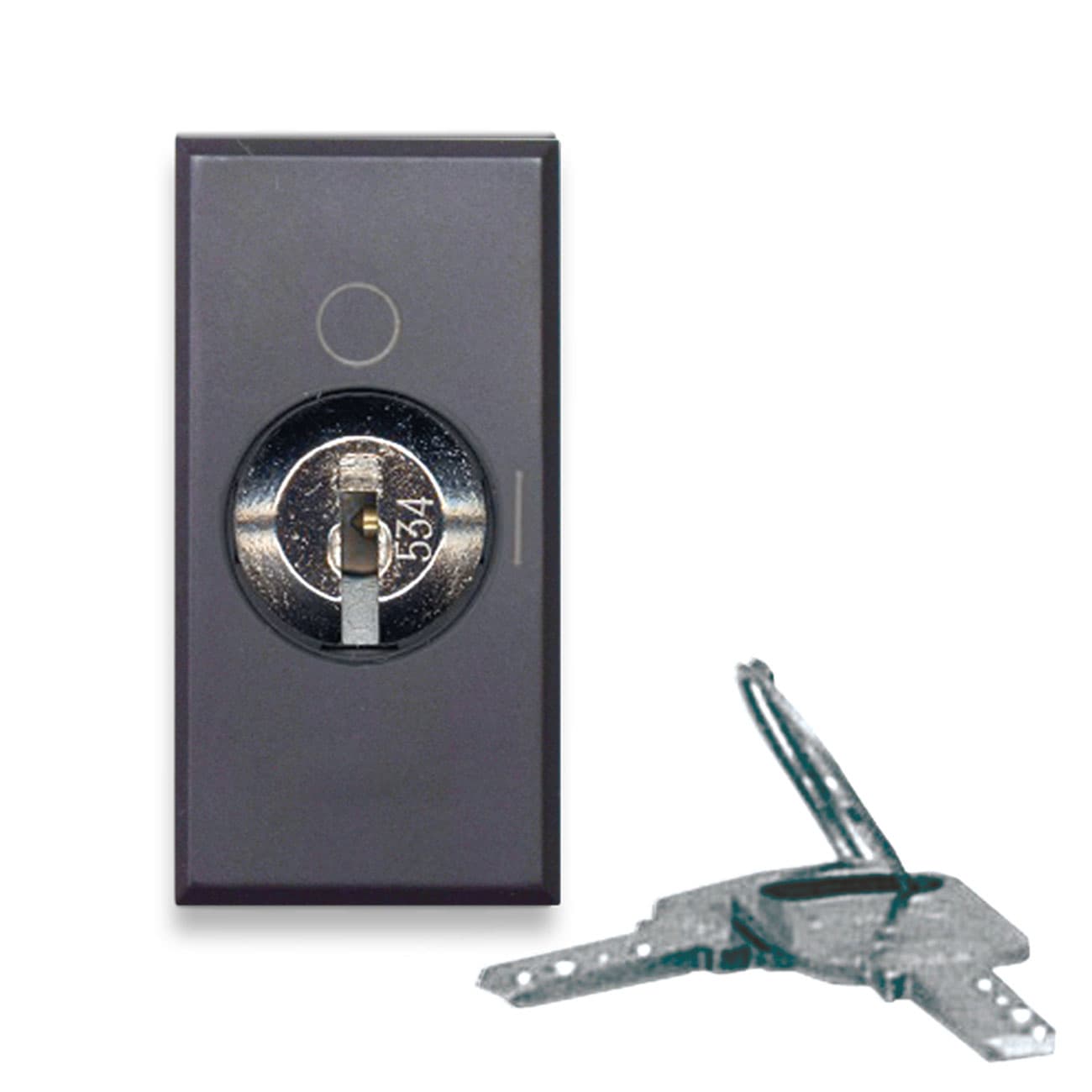 AVE - AVE445075 PULSANTE CHIAVE 2P NA 10A TEKLA 1M