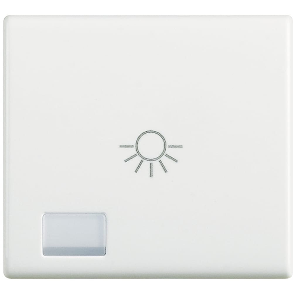 BTICINO BTIAM5915/2BA MATIX - COPRITASTO SIMB LUCE 2 MOD