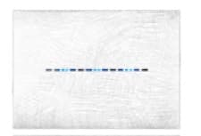 AVE - AVE44PJTC3B/3D PLACCA YOUNGTOUCH BIANCO 3D 3COM