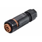 WIELAND ELECTRIC SRL - WIE46.051.4550.4 FEMALE CONNECTOR