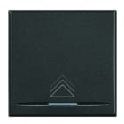 BTICINO - BTIHS4915/2AD AXOLUTE - COPRITASTO DIMMER 2 MOD SCURO