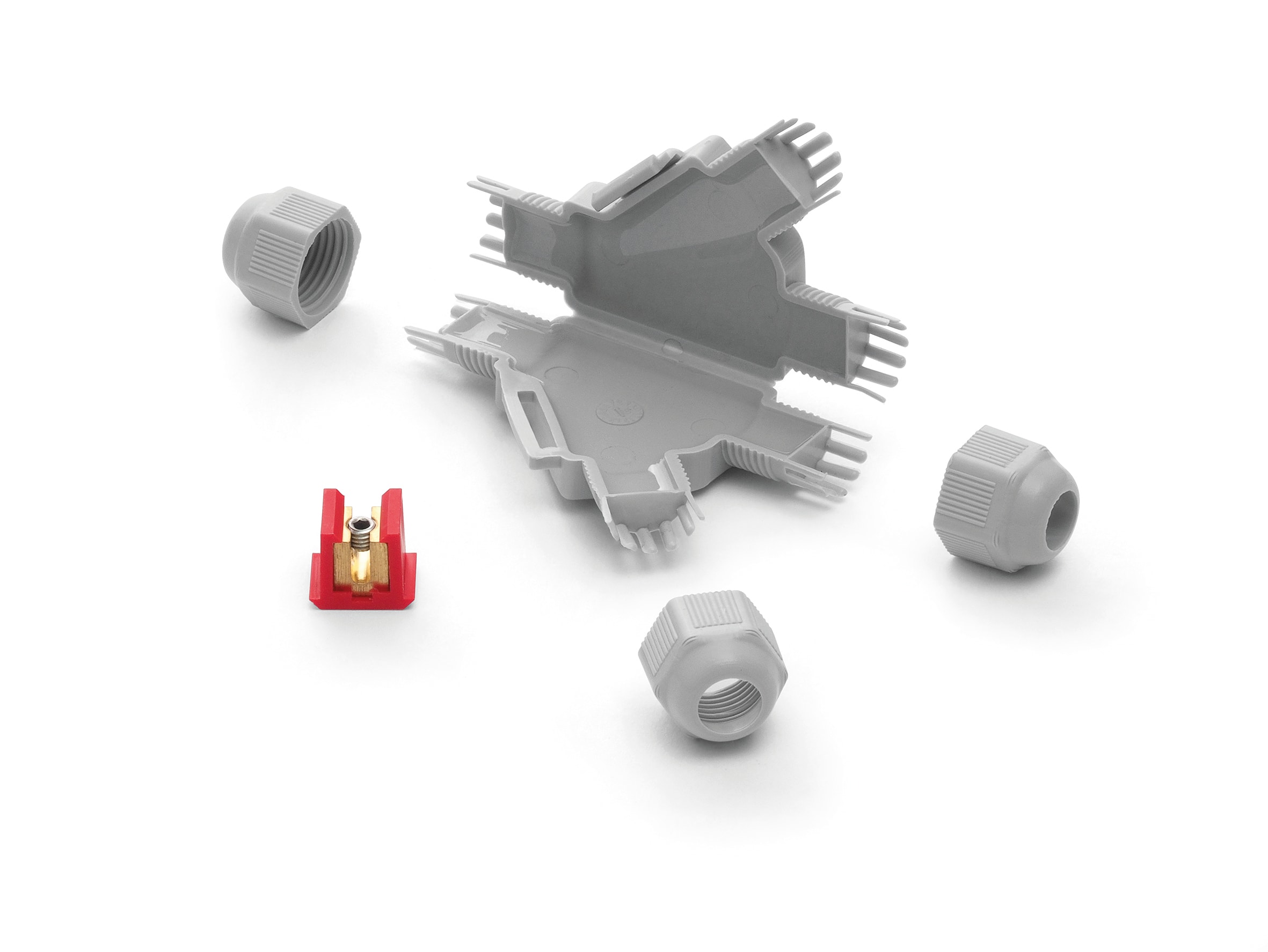 RAYTECH SRL - RYTBARNEY-Y BARNEY Y (CF 1 PZ)