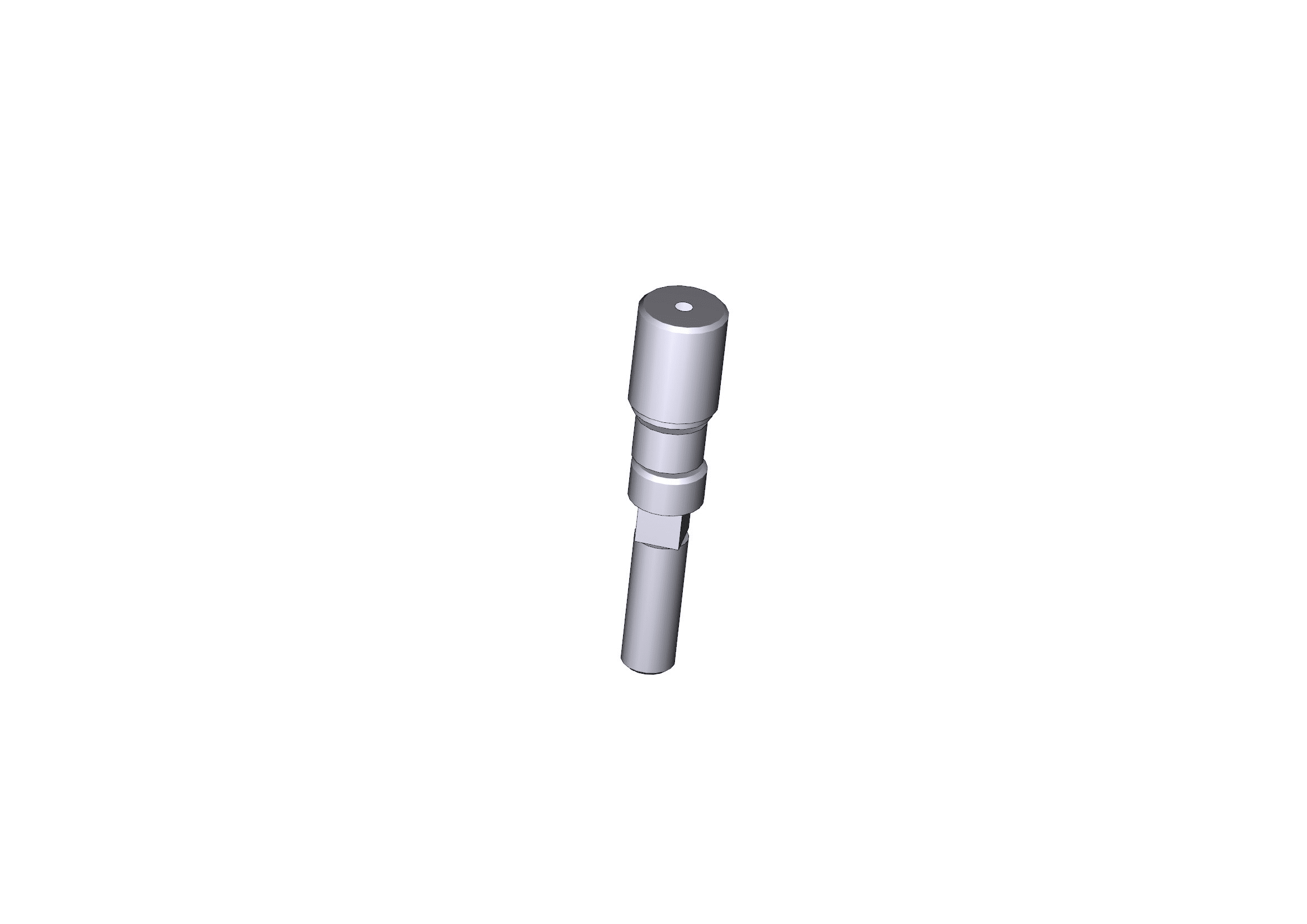 CAME SPA CMC119RIG077 PERNO FERMO MECCANICO GARD 2,5-5-6-6,5M