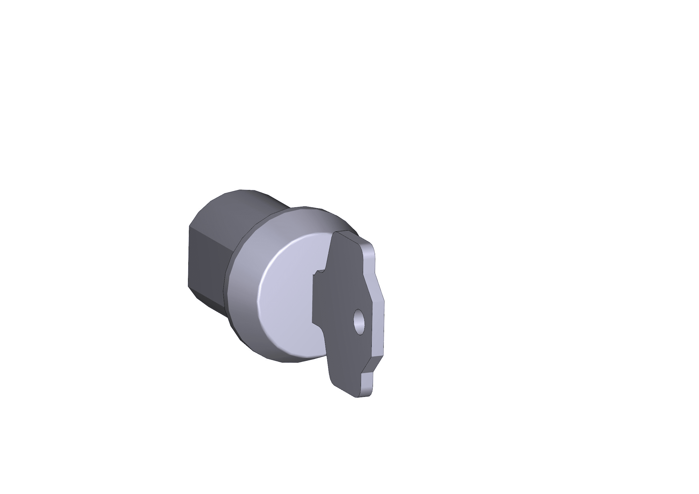 CAME SPA - CMC119RIG213 CILINDRO SERRATURA - G2500 G4000