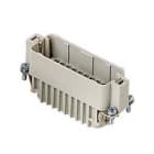 ILME - ILMCDDM 38 FRUTTO SPINA 38 POLI