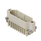 ILME - ILMCDM 25 FRUTTO SPINA 25 POLI