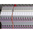 CEMBRE SPA - CEM43097N STRISCE MG-CPMF 9,8X105 BIANCO MOR.PHOEN