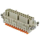 ILME - ILMCSHF 24 FR.PRESA 24 POLI SQUICH