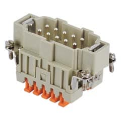 ILME - ILMCSHM 10 FR.SPINA 10 POLI SQUICH