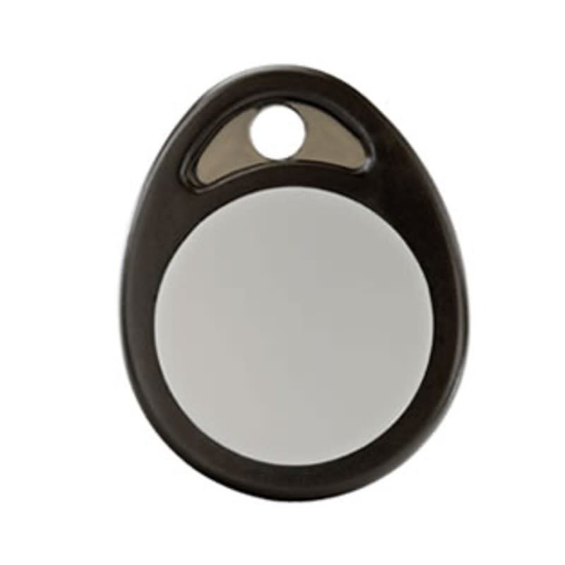 DELTA DORE SRL - DDR6413224 TYXAL BRFID BADGE RFID