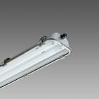 DISANO - DIS16246412 FORMA 999 FL 2X58 CEL-D INOX