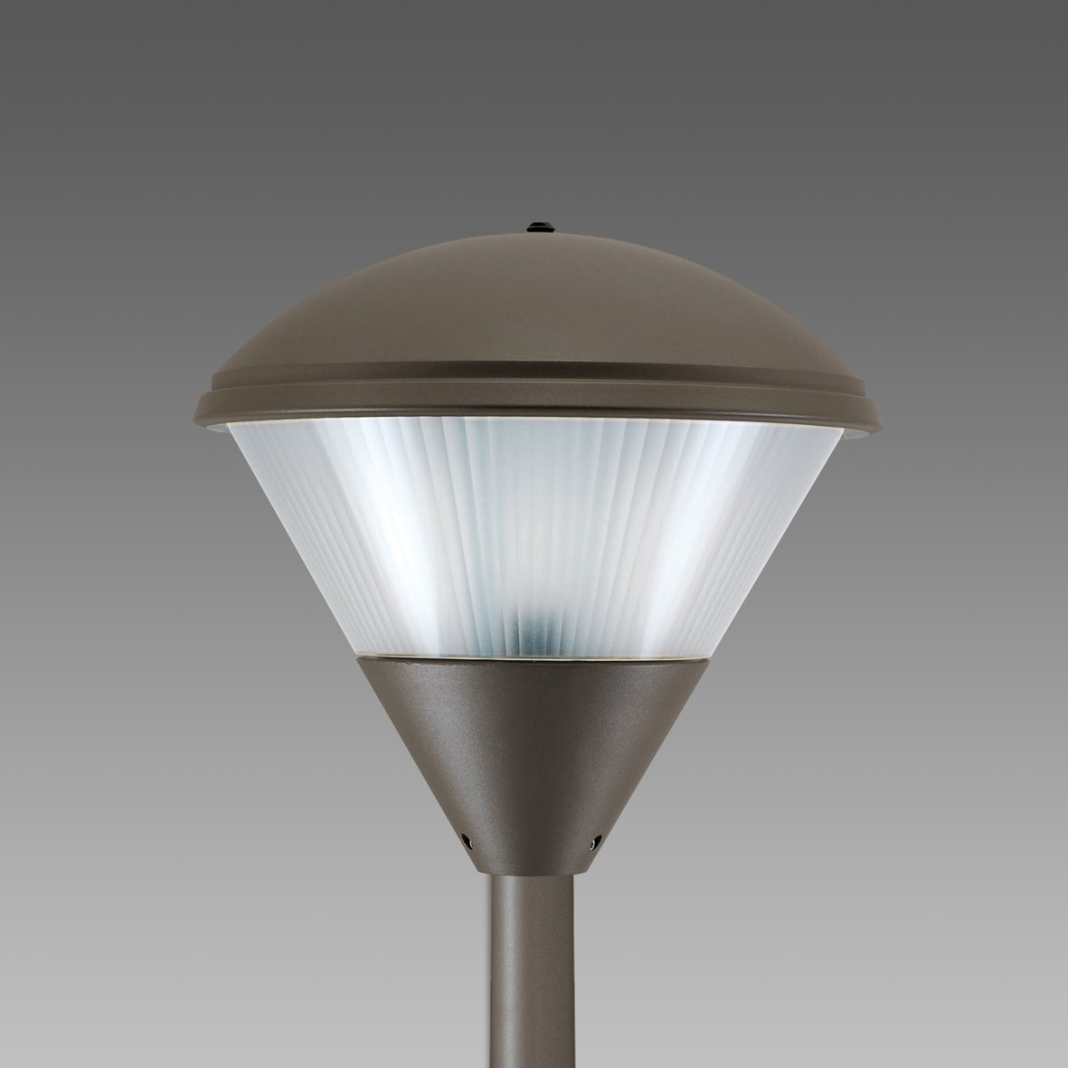 DISANO - DIS42212800 POLAR 1502 MAX 160 S GRAFITE